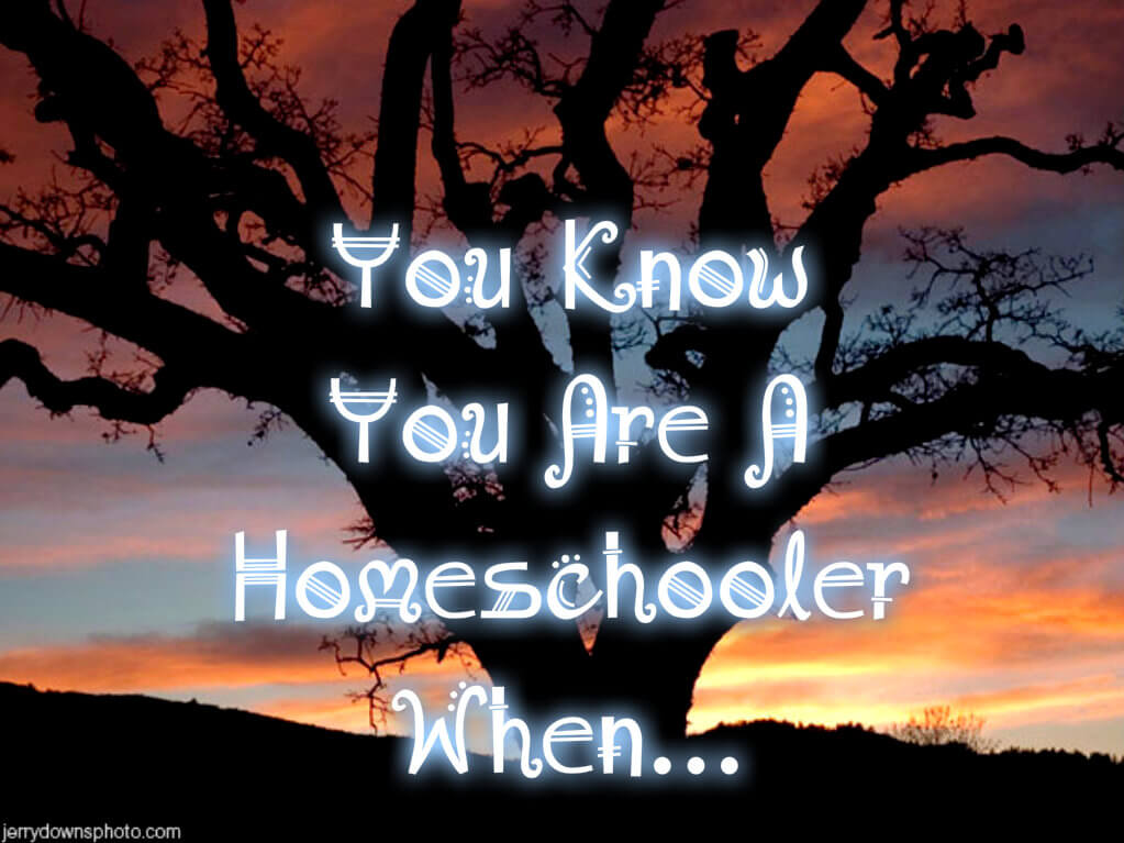 Being a Homeschooler – You Know You’re a Homeschooler When …
