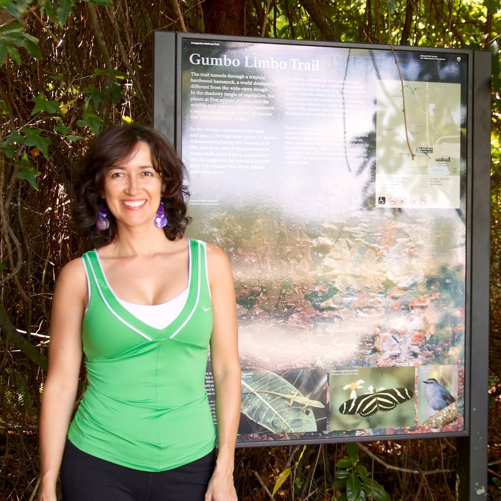 everglades national park gumbo limbo trail