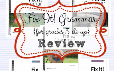 Homeschool Grammar Curriculum Fix It! Grammar Review