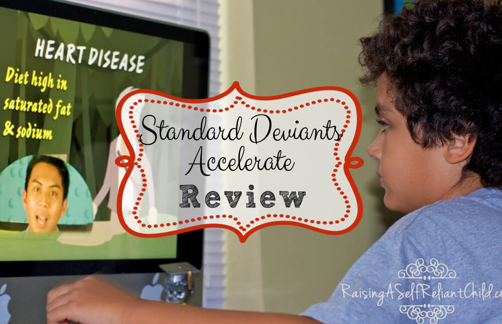 standard-deviants-accelerate-review